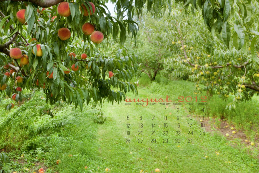 651931 (a): :1698x1132